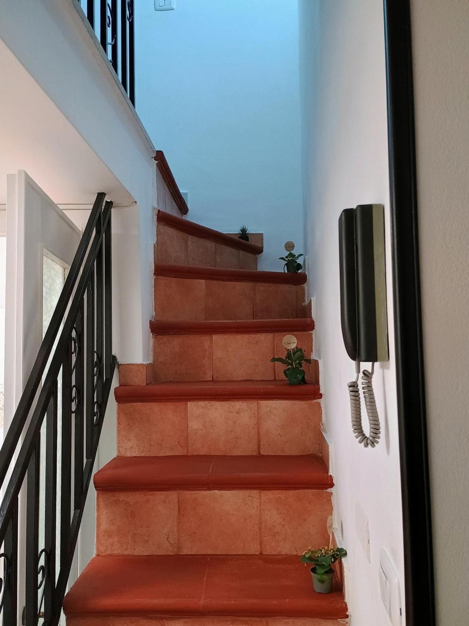 Casa Centro Storico O Capu Lägenhet Palermo Exteriör bild